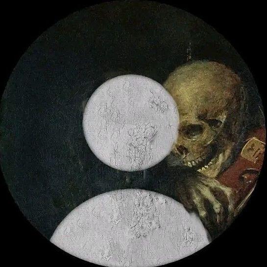 sined0q avatar