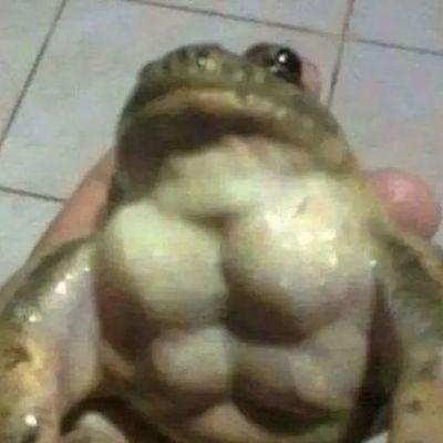 Gnuj__ avatar
