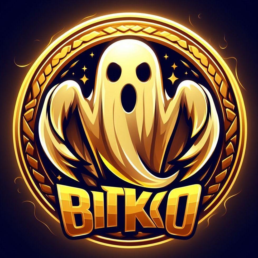Player -bitko avatar