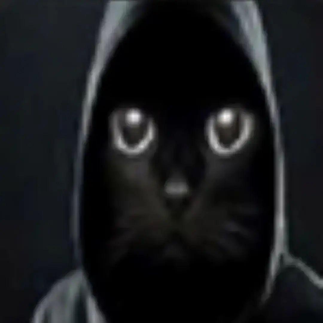 i_flyffy