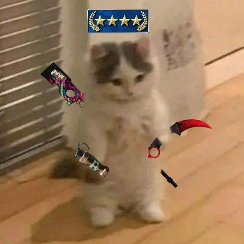 ItzPupi avatar