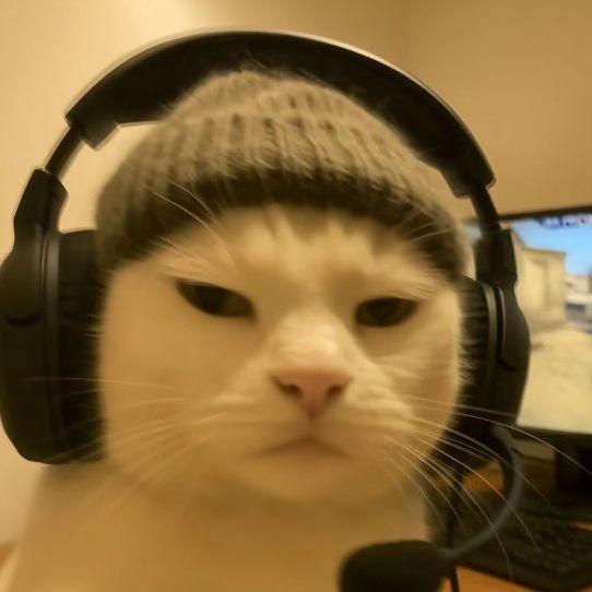 v0rmext avatar