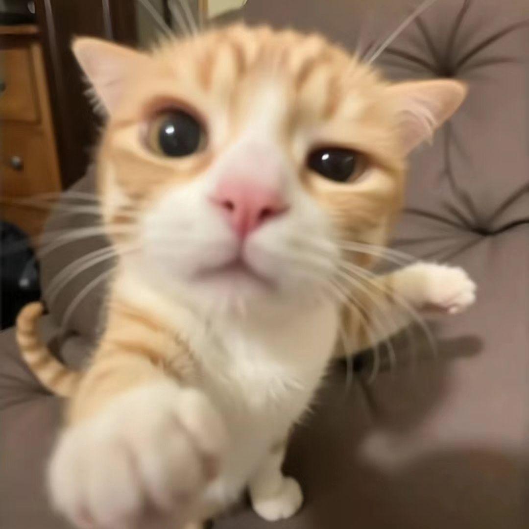 _Chairai_