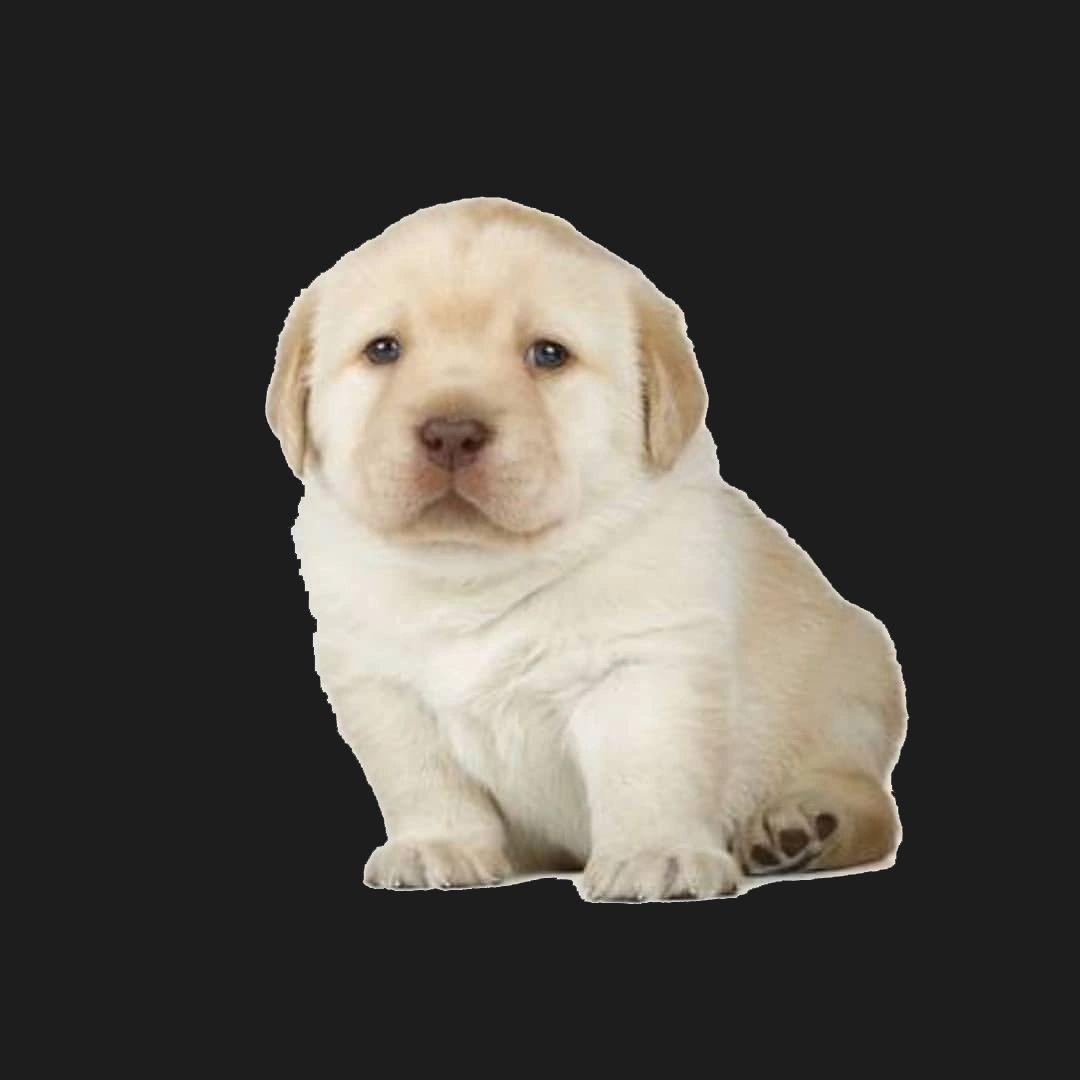 titkiii avatar
