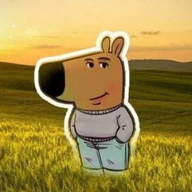 dblhyaaa avatar