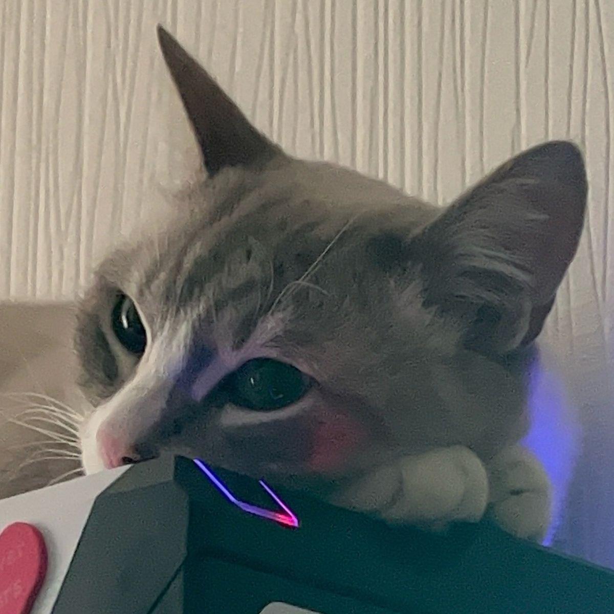 Hesoyama666 avatar