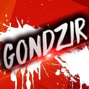Player Gondzir12 avatar