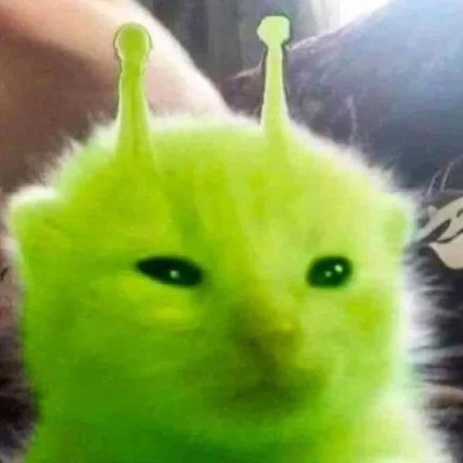 Scibcio
