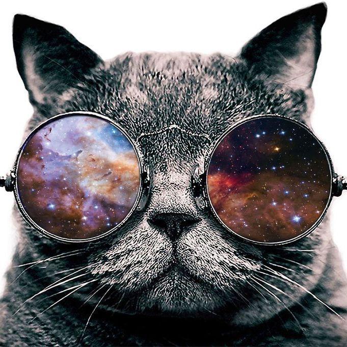 Echofr8st avatar