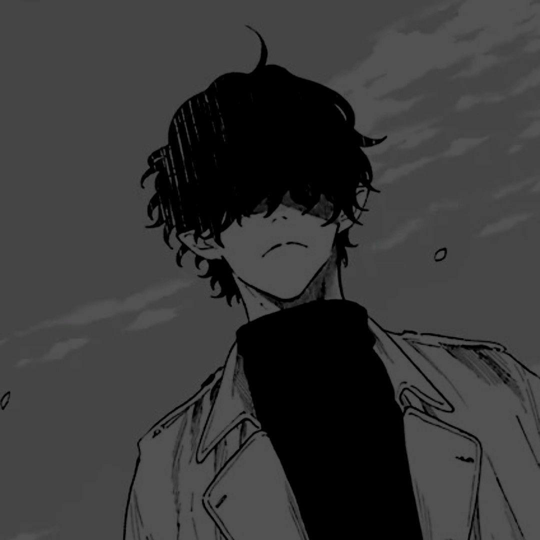 zirom1 avatar