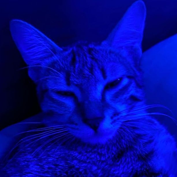 Ygrek_ avatar