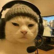 maRrsy avatar