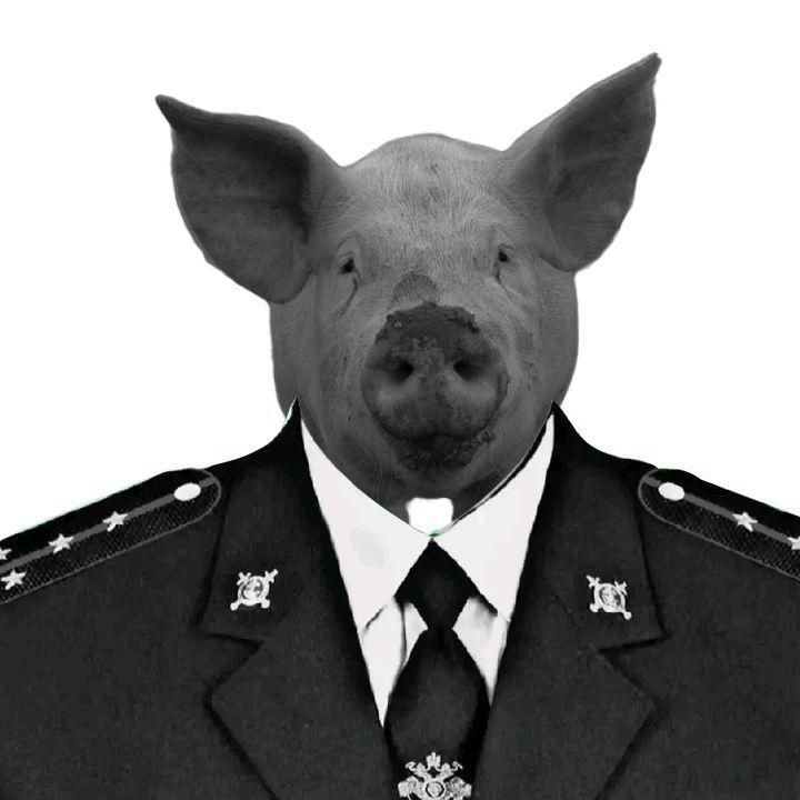 bodiansvin8K avatar