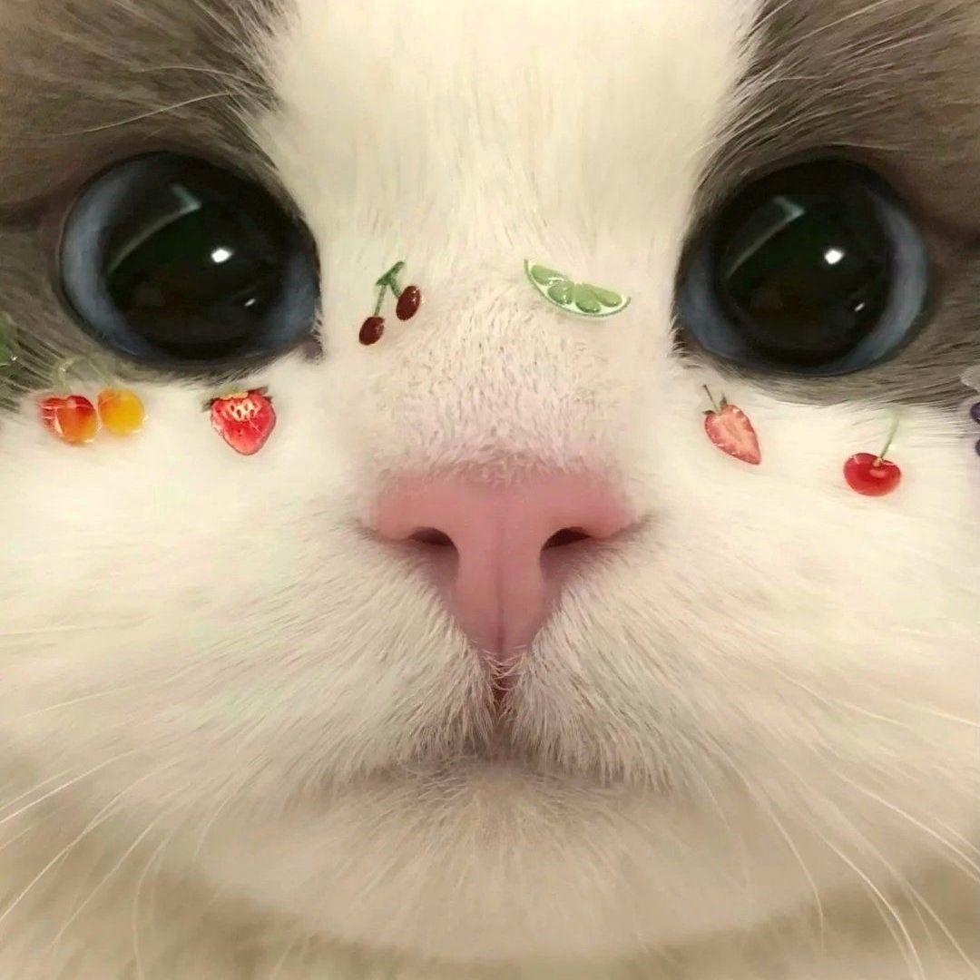 Kronuk avatar