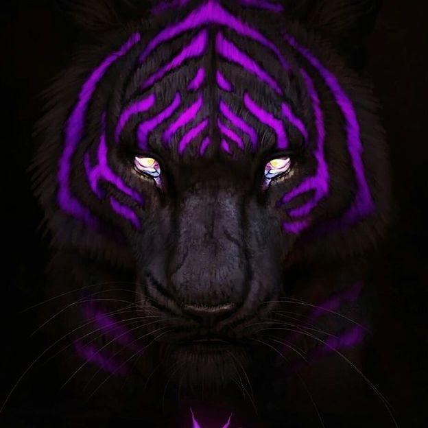 TAIGER99 avatar