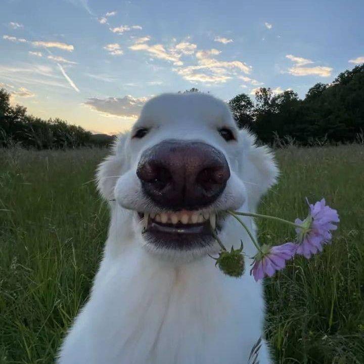 Tl0czi_ avatar
