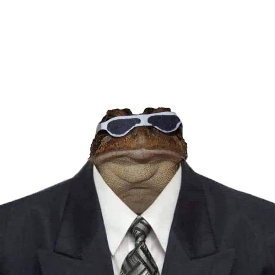 n1sTz0