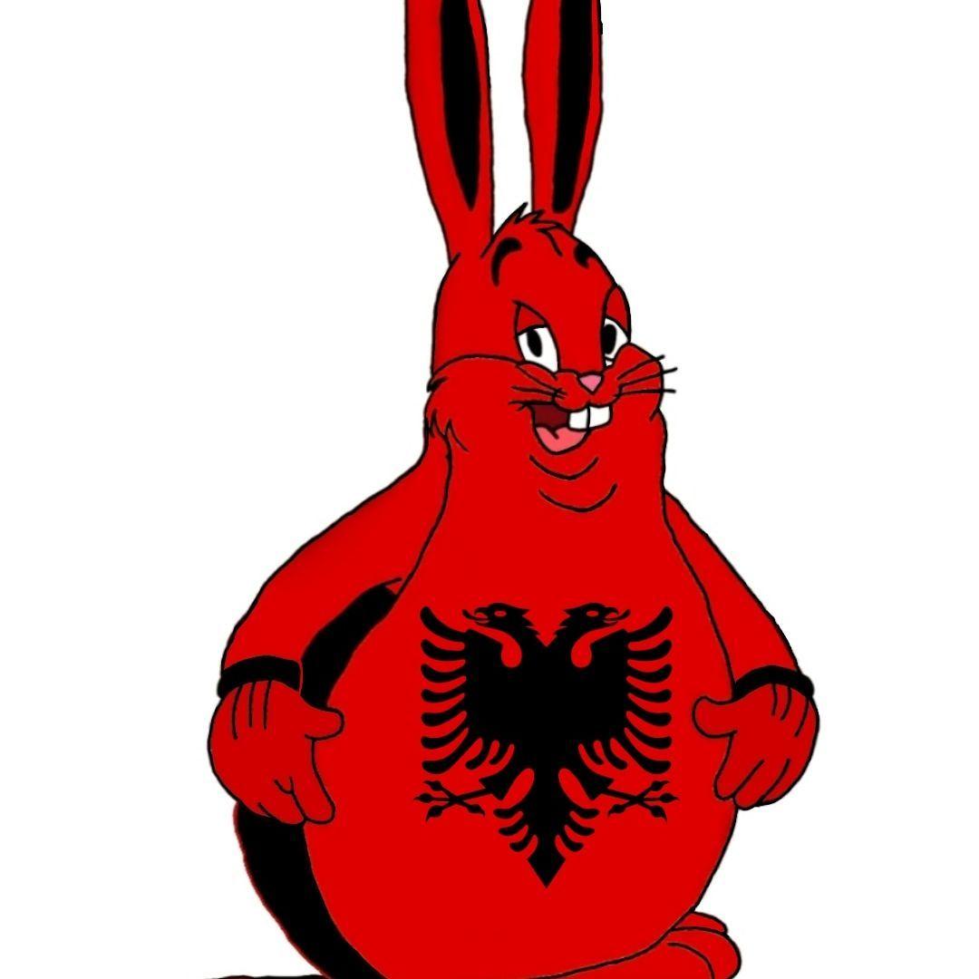 ShqipChungus avatar