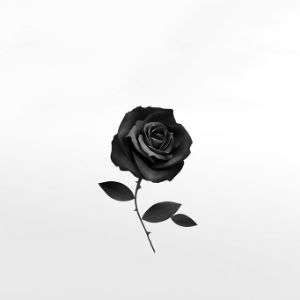 UnknownLune