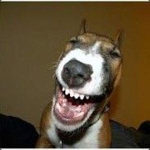 Kavun46 avatar
