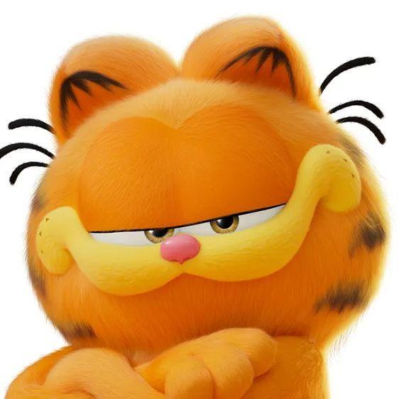 garfieldv avatar