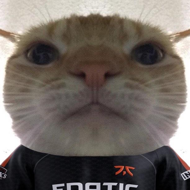 p0tfur avatar
