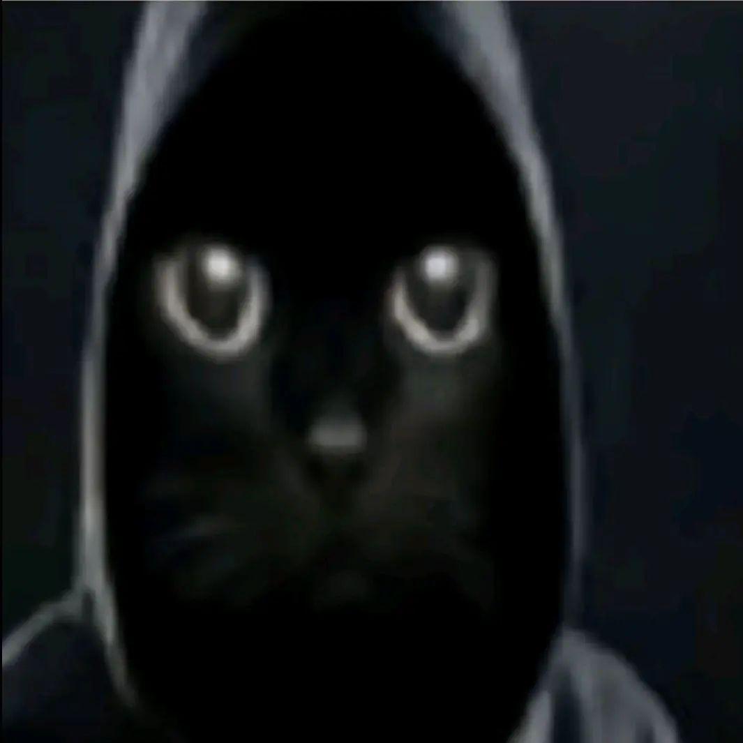 Quzecs avatar