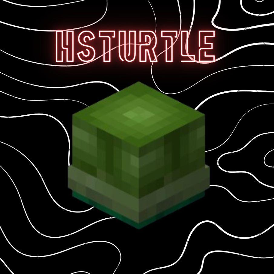 032HsTurtle avatar