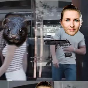 b00merp33k