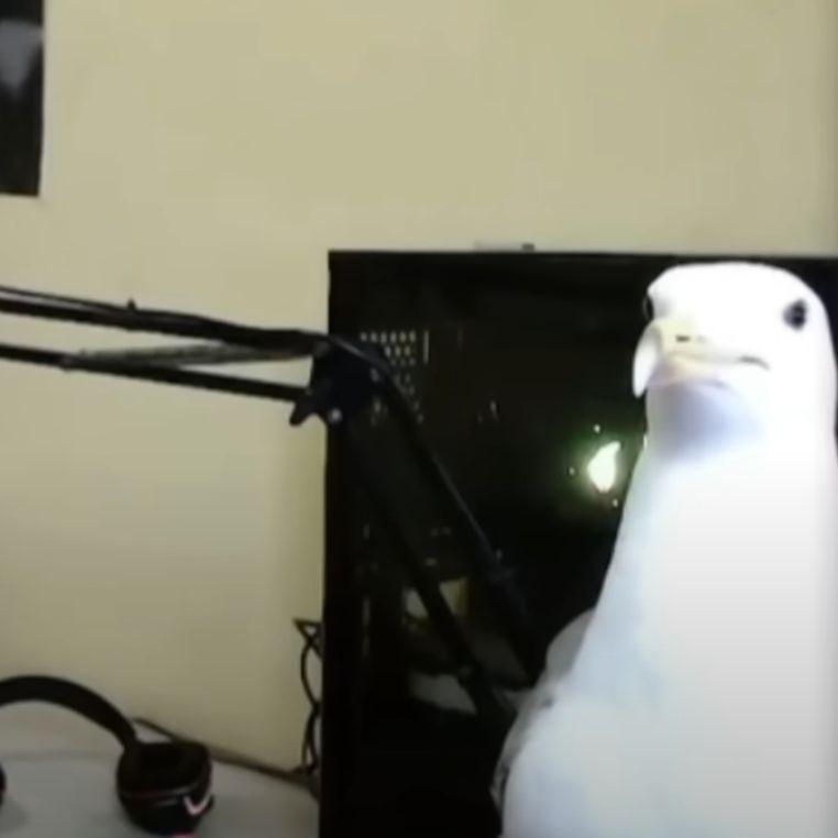 Choraibesos
