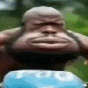 Fugg4