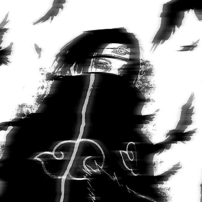 G0B0666 avatar
