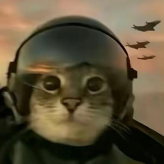p3tr0v1cha avatar