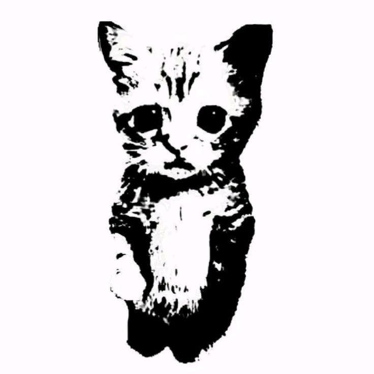 Z3CK1 avatar