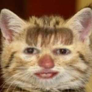 Dvigitel avatar