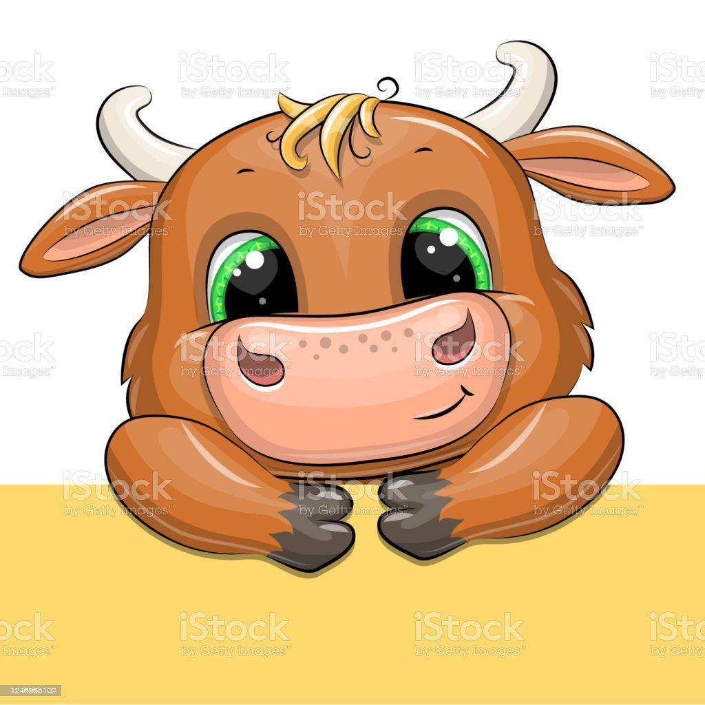 6bI4apa avatar