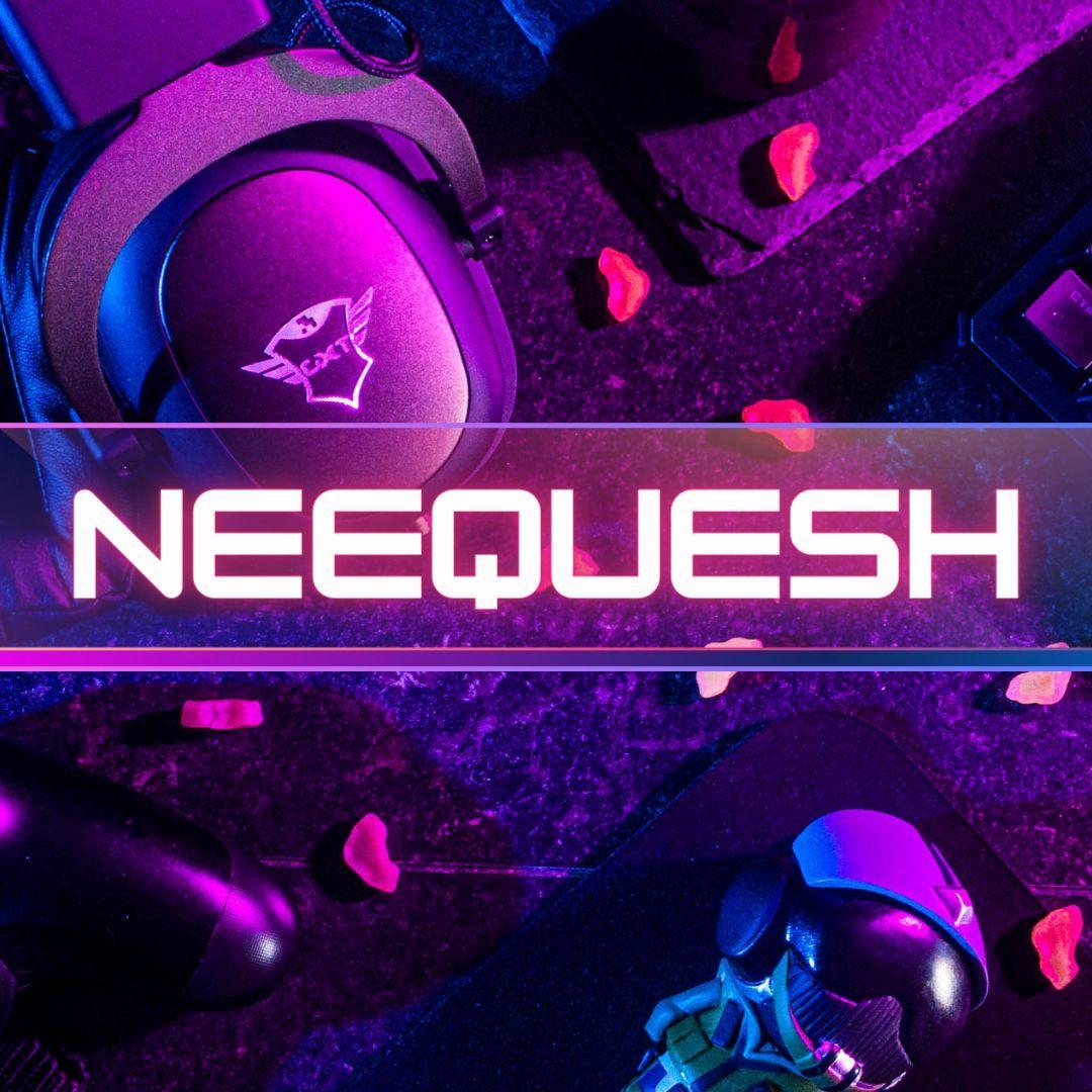 Player neequesh avatar