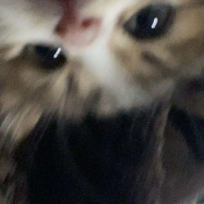 team_Y0urMommy