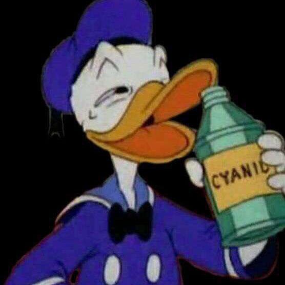 -spanki avatar