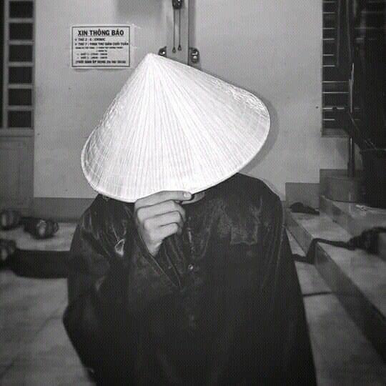 qullare avatar