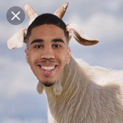 rayesunt avatar