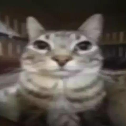 lucasezclap avatar