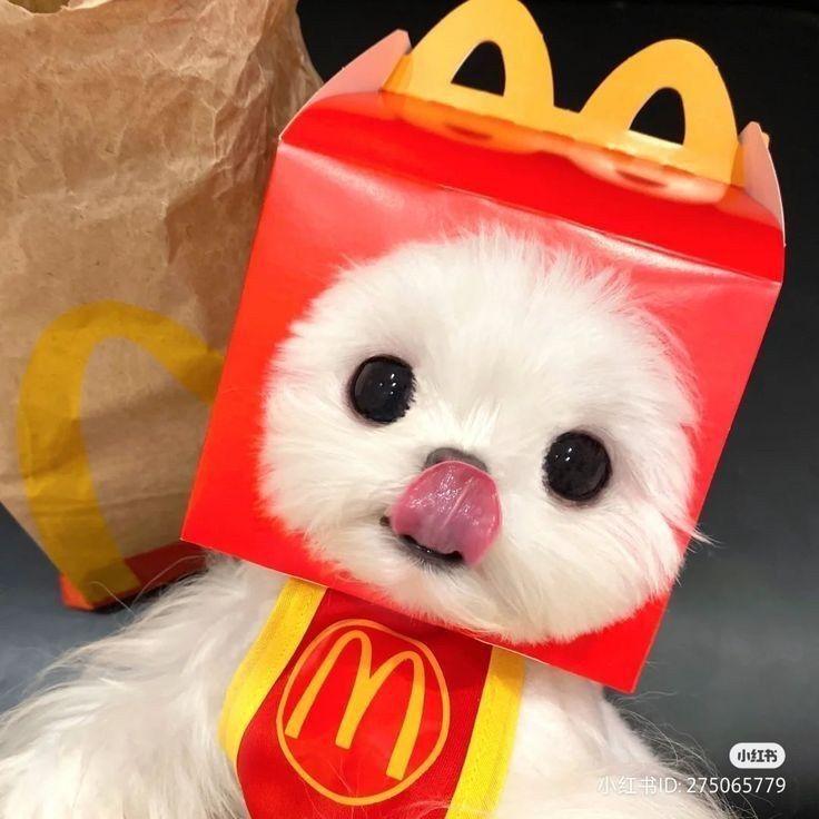 YaBoiFreddy avatar