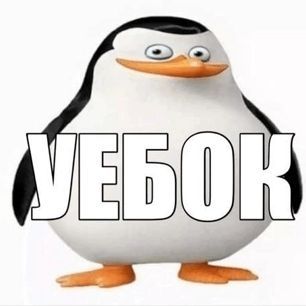 xerw3x