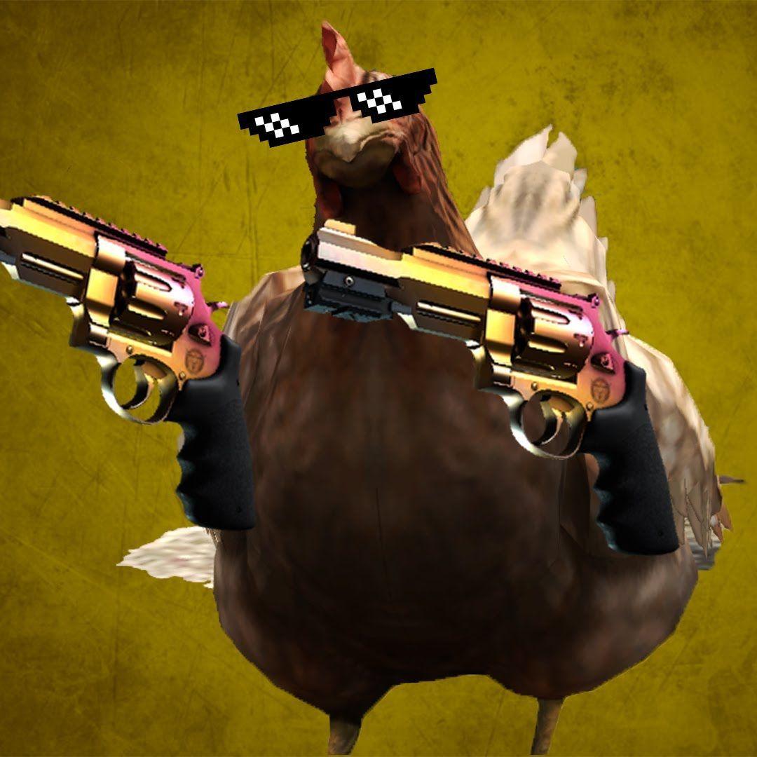 sarelax avatar