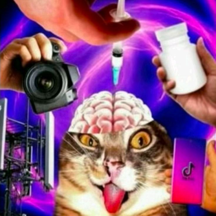 team_Wizychka1337