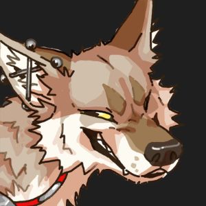 Faceit profile picture for @coyotes