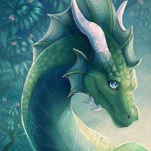 Noclipch avatar