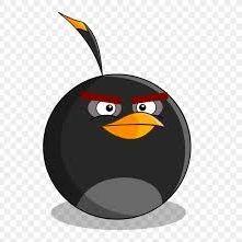 bombus777 avatar