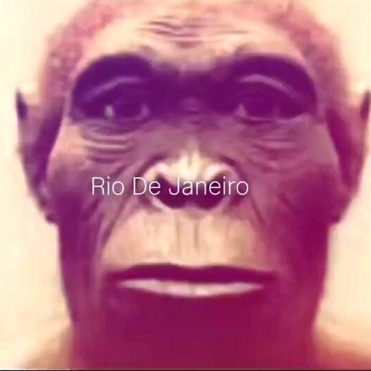 Revlisxdxdxd avatar
